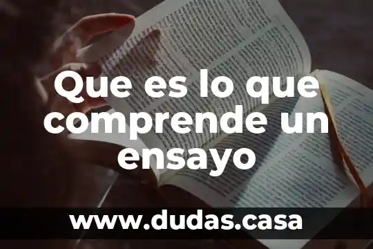 Que es lo que comprende un ensayo