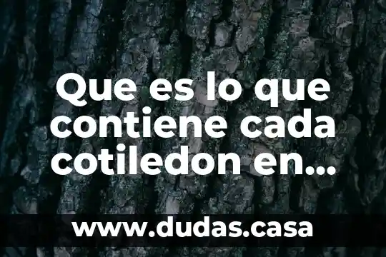 Que es lo que contiene cada cotiledon en medicina