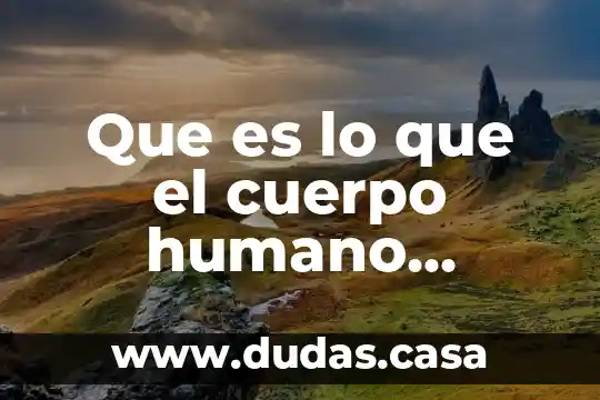 Que es lo que el cuerpo humano necesita