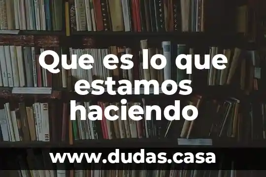 Que es lo que estamos haciendo