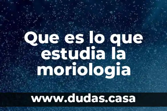 Que es lo que estudia la moriologia