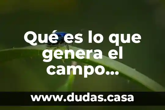 Qué es lo que genera el campo magnético