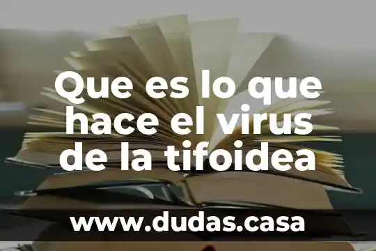 Que es lo que hace el virus de la tifoidea