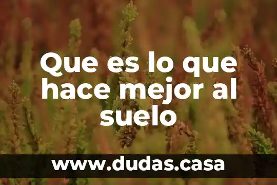 Que es lo que hace mejor al suelo