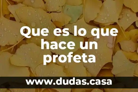 Que es lo que hace un profeta