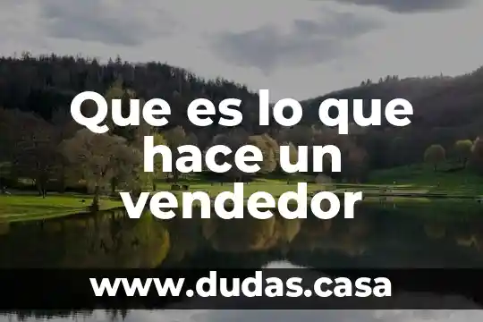 Que es lo que hace un vendedor