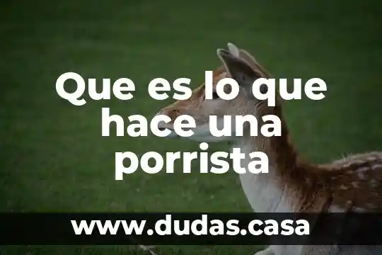 Que es lo que hace una porrista