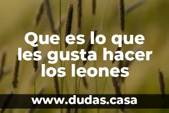 Que es lo que les gusta hacer los leones