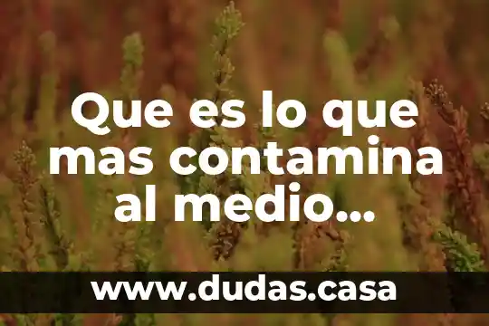 Que es lo que mas contamina al medio ambiente