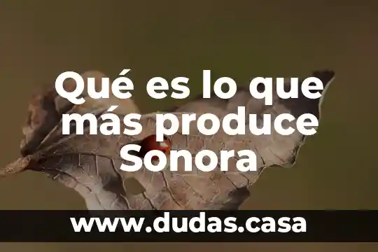 Que es lo que mas se produce en swazilandia 6 Qué es lo que más produce Sonora