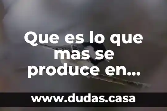 Que es lo que mas se produce en swazilandia 8 Que es lo que mas se produce en queretaro