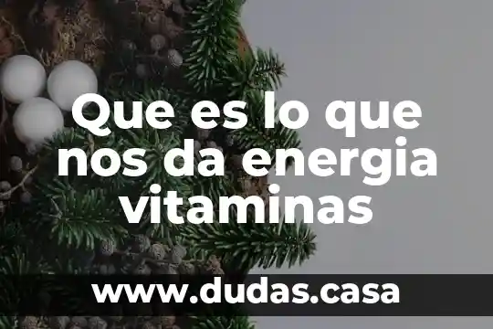 Que es lo que nos da energia vitaminas