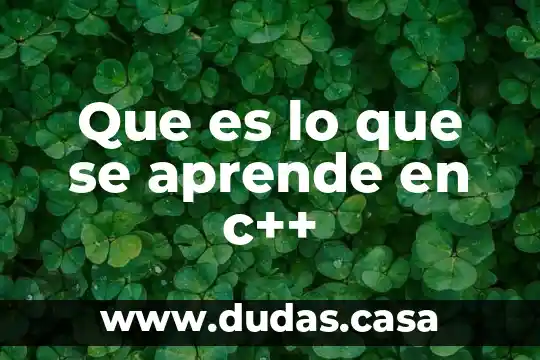 Que es lo que se aprende en c++