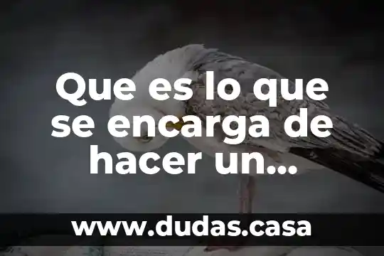 Que es lo que se encarga de hacer un enlace