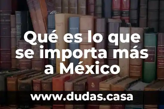Qué es lo que se importa más a México