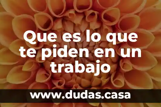 Que es lo que te piden en un trabajo