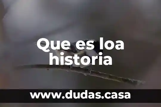 Que es loa historia