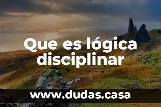 Que es lógica disciplinar