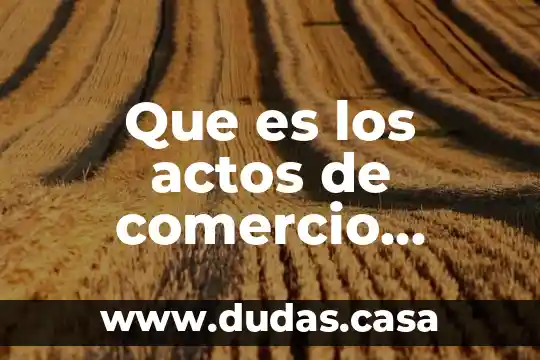 Que es los actos de comercio accidental
