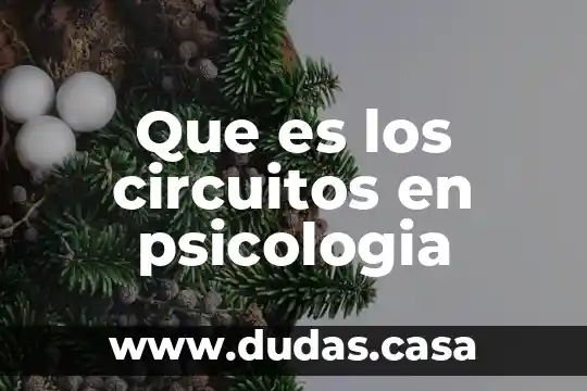 Que es los circuitos en psicologia