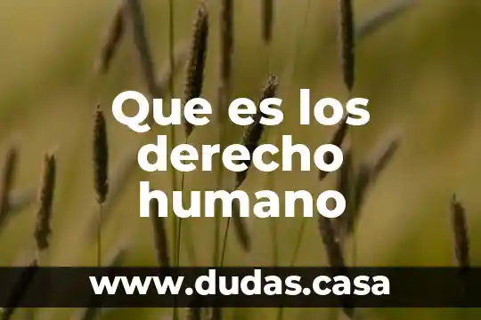 Que es los derecho humano