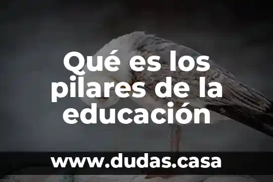 Qué es los pilares de la educación