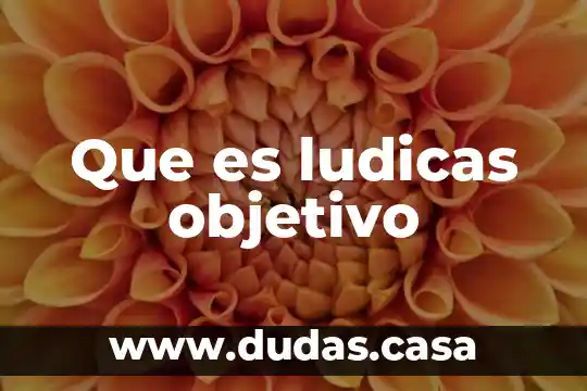 Que es ludicas objetivo