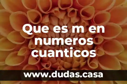 Que es m en numeros cuanticos