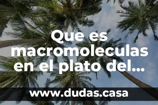 Que es macromoleculas en el plato del buen comer