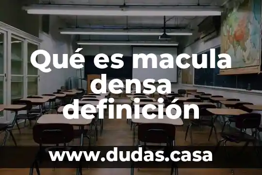 Qué es macula densa definición