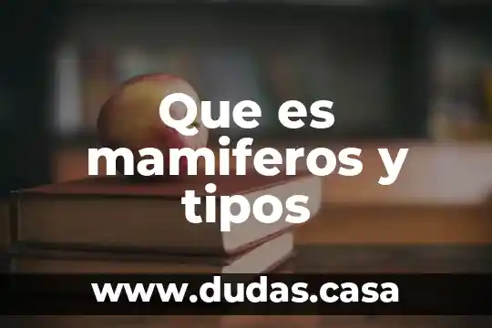 Que es mamiferos y tipos