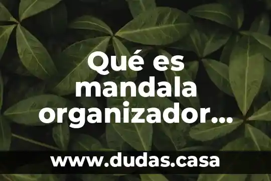 Qué es mandala organizador gráfico