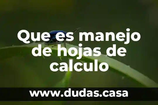 Que es manejo de hojas de calculo