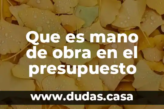 Que es mano de obra en el presupuesto