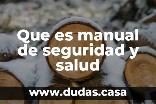 Que es manual de seguridad y salud
