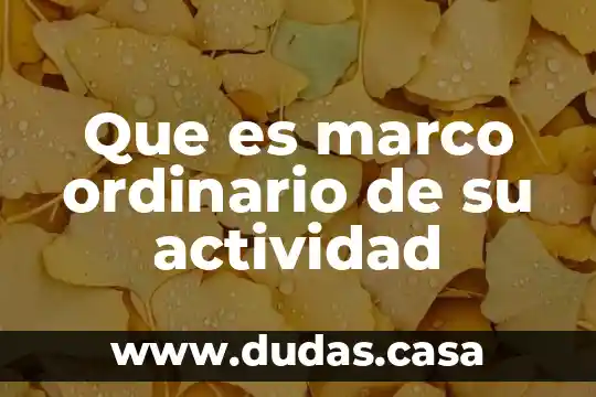 Que es marco ordinario de su actividad