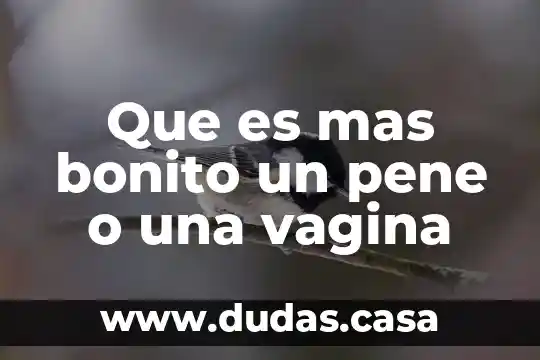 Que es mas bonito un pene o una vagina
