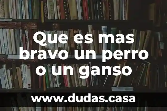 Que es mas bravo un perro o un ganso