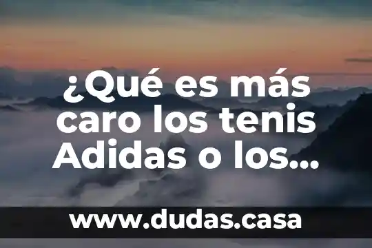 ¿Qué es más caro los tenis Adidas o los Nike?