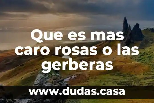 Que es mas caro rosas o las gerberas