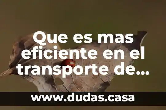Que es mas eficiente en el transporte de carga