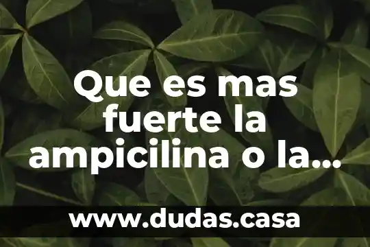Que es mas fuerte la ampicilina o la amoxicilina