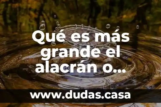 Qué es más grande el alacrán o escorpión