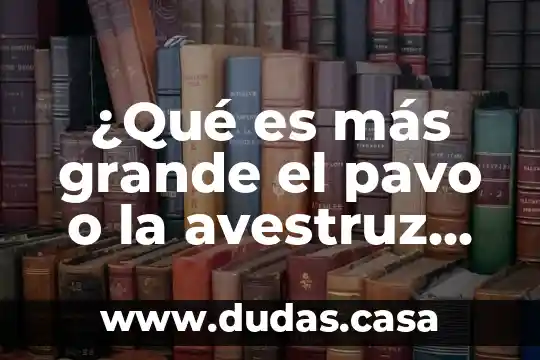 ¿Qué es más grande el pavo o la avestruz africana?