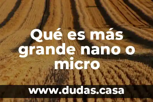 Qué es más grande nano o micro