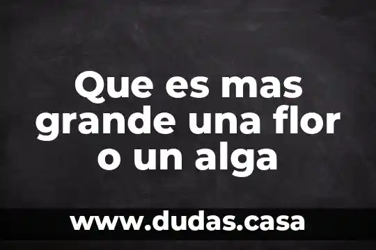 Que es mas grande una flor o un alga