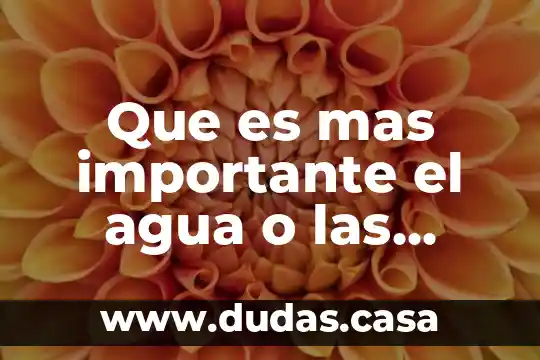 Que es mas importante el agua o las verduras