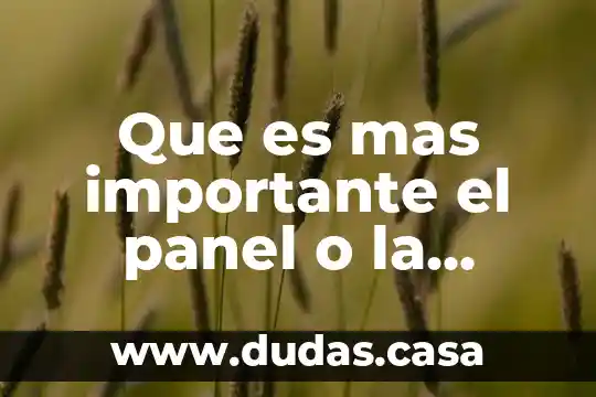 Que es mas importante el panel o la batería