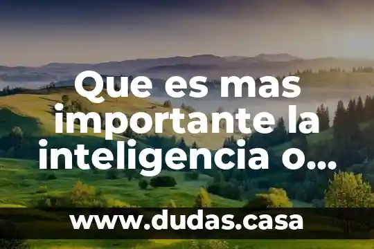 Que es mas importante la inteligencia o la belleza