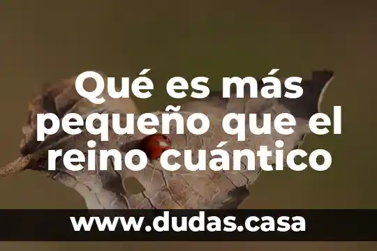 Qué es más pequeño que el reino cuántico